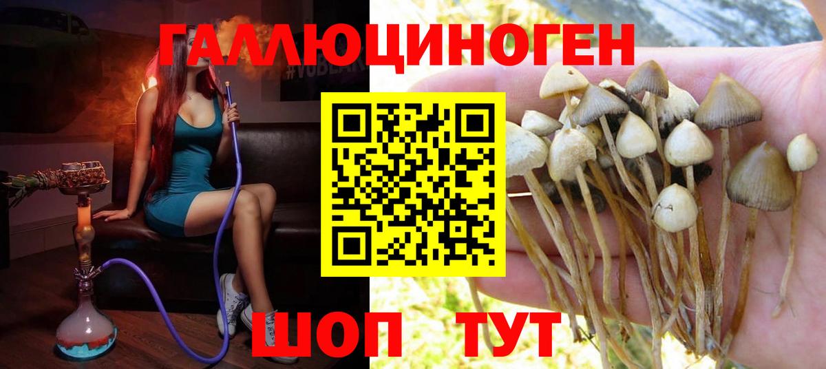 Псилоцибиновые грибы GOLDEN TEACHER Нефтеюганск